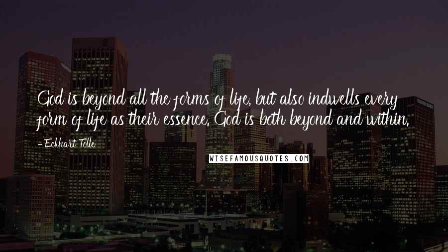 Eckhart Tolle Quotes: God is beyond all the forms of life, but also indwells every form of life as their essence. God is both beyond and within.