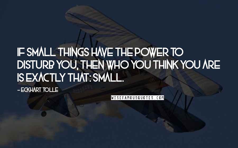 Eckhart Tolle Quotes: If small things have the power to disturb you, then who you think you are is exactly that: small.