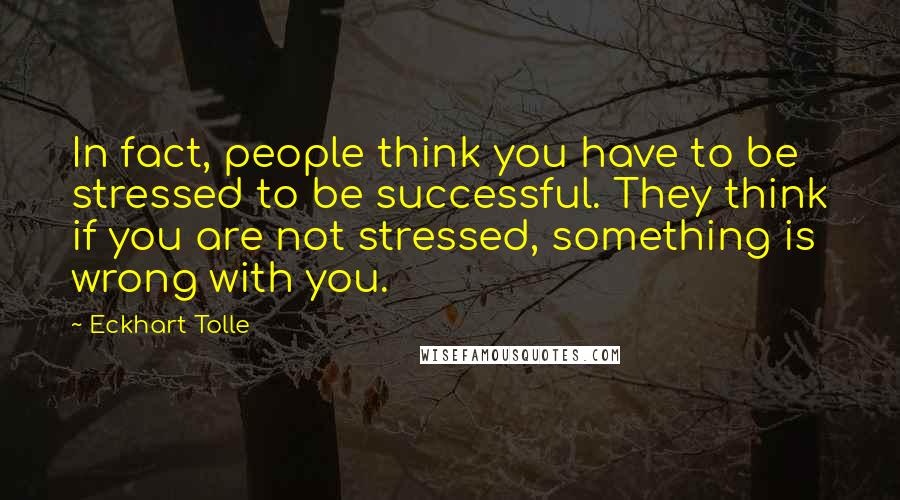 Eckhart Tolle Quotes: In fact, people think you have to be stressed to be successful. They think if you are not stressed, something is wrong with you.