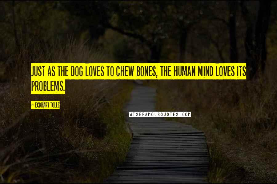 Eckhart Tolle Quotes: Just as the dog loves to chew bones, the human mind loves its problems.