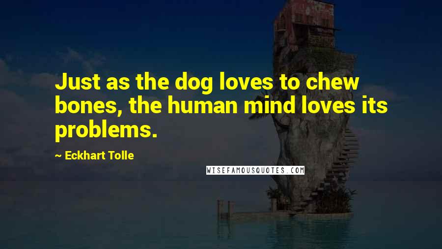 Eckhart Tolle Quotes: Just as the dog loves to chew bones, the human mind loves its problems.