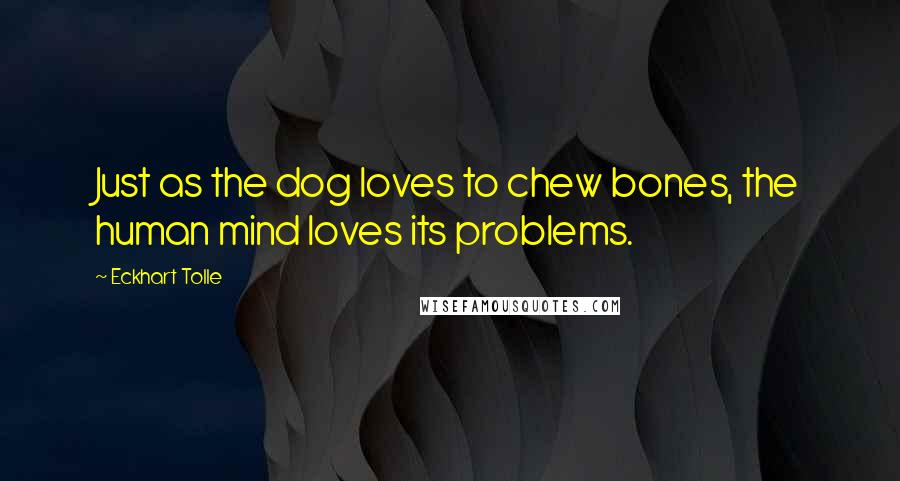 Eckhart Tolle Quotes: Just as the dog loves to chew bones, the human mind loves its problems.