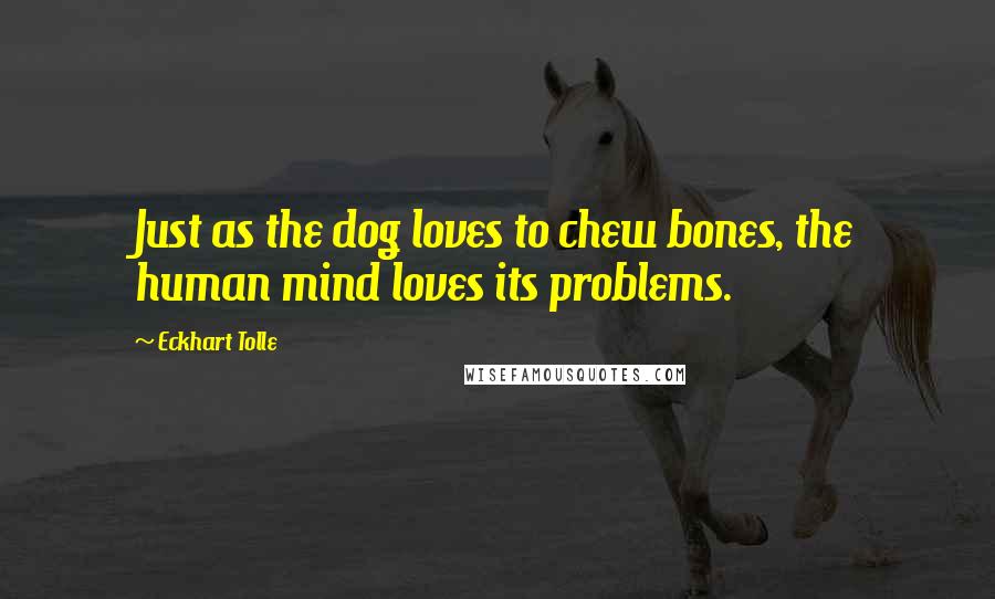 Eckhart Tolle Quotes: Just as the dog loves to chew bones, the human mind loves its problems.