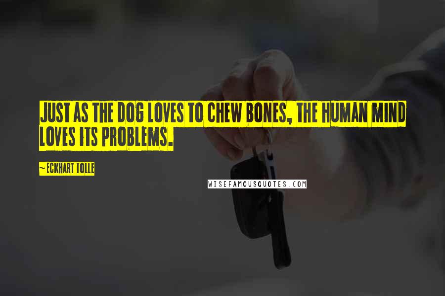 Eckhart Tolle Quotes: Just as the dog loves to chew bones, the human mind loves its problems.