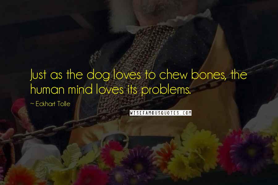 Eckhart Tolle Quotes: Just as the dog loves to chew bones, the human mind loves its problems.
