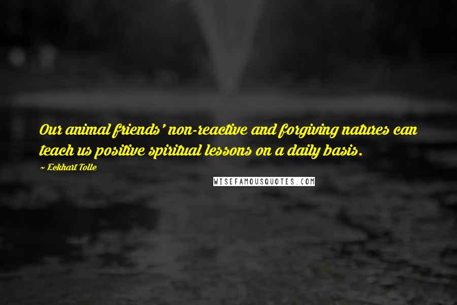 Eckhart Tolle Quotes: Our animal friends' non-reactive and forgiving natures can teach us positive spiritual lessons on a daily basis.