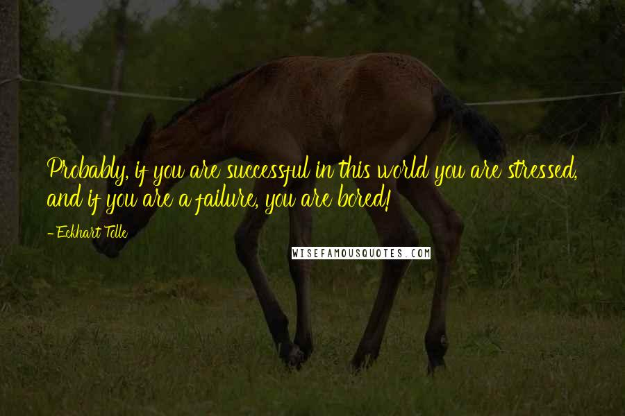 Eckhart Tolle Quotes: Probably, if you are successful in this world you are stressed, and if you are a failure, you are bored!