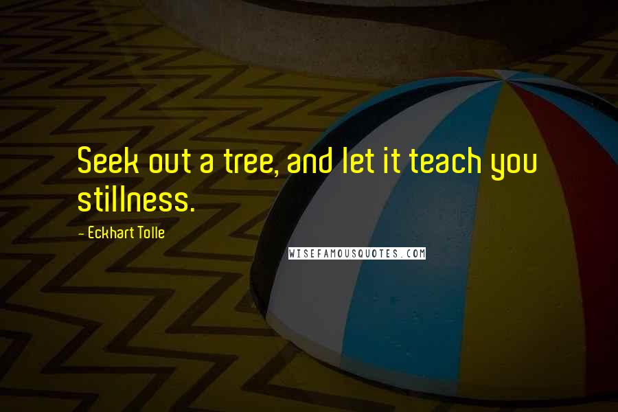 Eckhart Tolle Quotes: Seek out a tree, and let it teach you stillness.