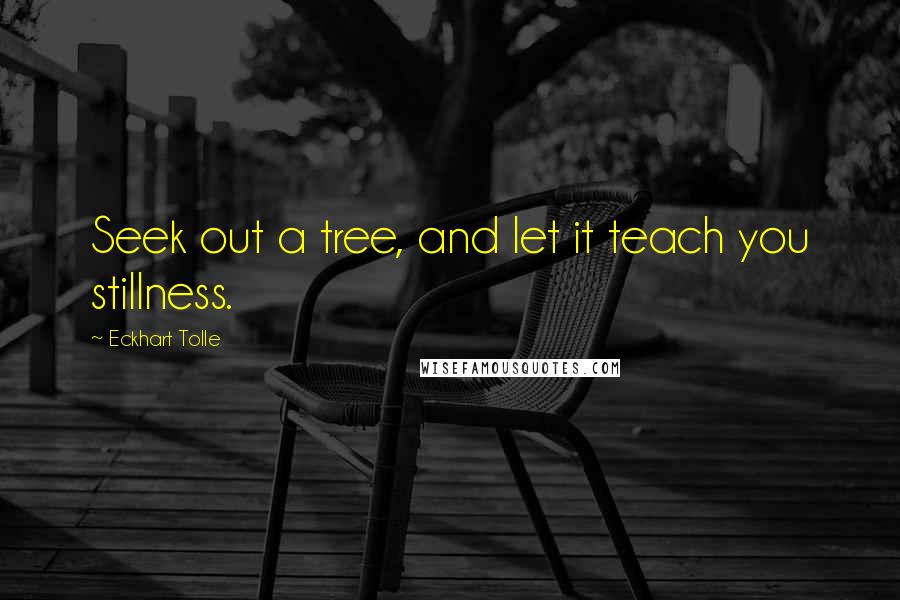 Eckhart Tolle Quotes: Seek out a tree, and let it teach you stillness.