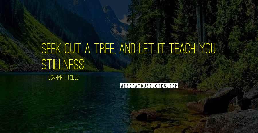 Eckhart Tolle Quotes: Seek out a tree, and let it teach you stillness.