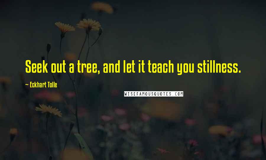 Eckhart Tolle Quotes: Seek out a tree, and let it teach you stillness.