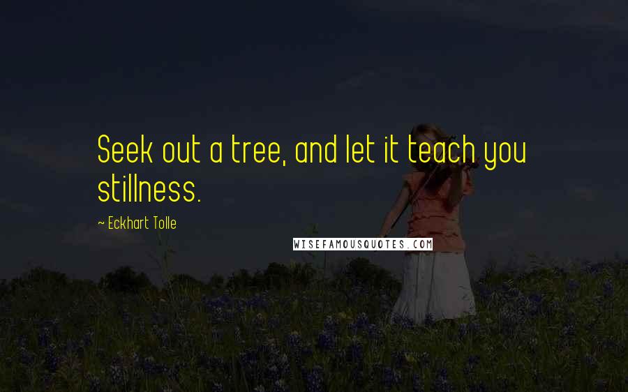 Eckhart Tolle Quotes: Seek out a tree, and let it teach you stillness.