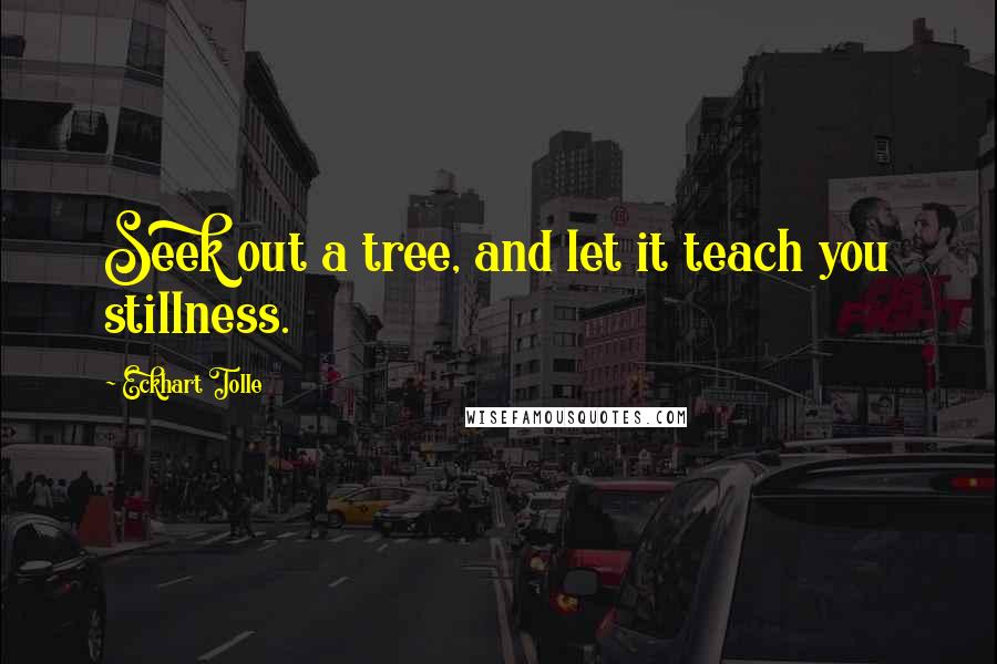 Eckhart Tolle Quotes: Seek out a tree, and let it teach you stillness.