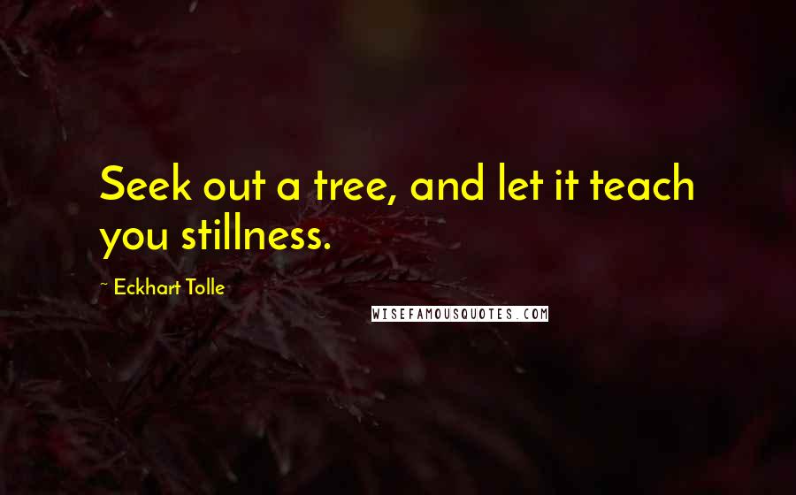 Eckhart Tolle Quotes: Seek out a tree, and let it teach you stillness.