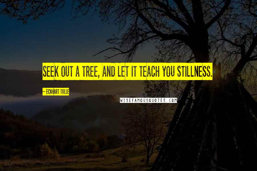 Eckhart Tolle Quotes: Seek out a tree, and let it teach you stillness.