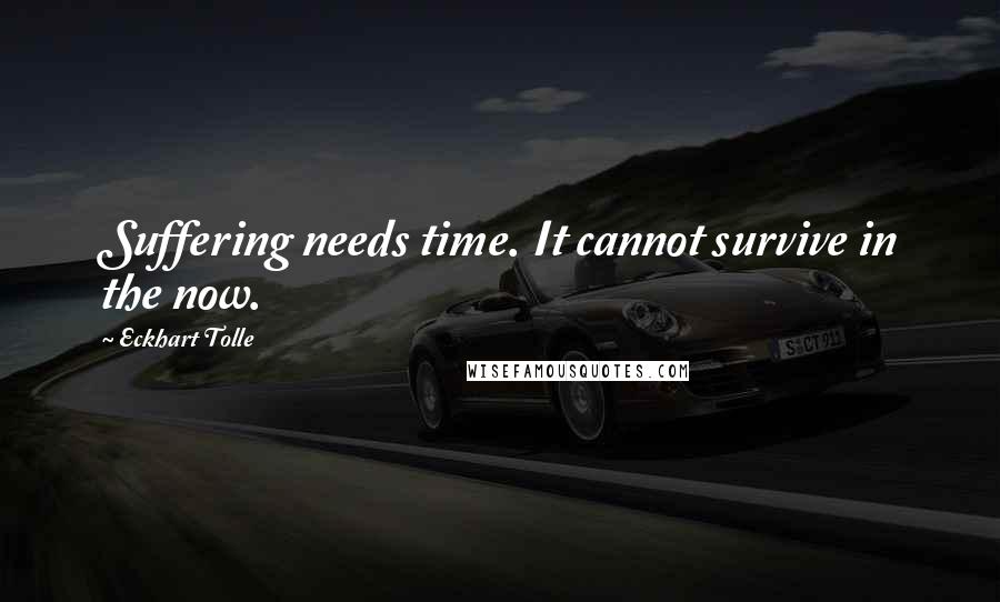 Eckhart Tolle Quotes: Suffering needs time. It cannot survive in the now.