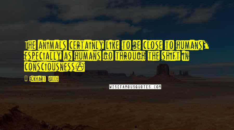 Eckhart Tolle Quotes: The animals certainly like to be close to humans, especially as humans go through the shift in consciousness.