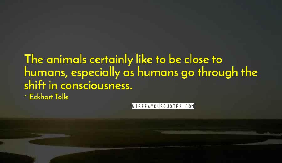Eckhart Tolle Quotes: The animals certainly like to be close to humans, especially as humans go through the shift in consciousness.