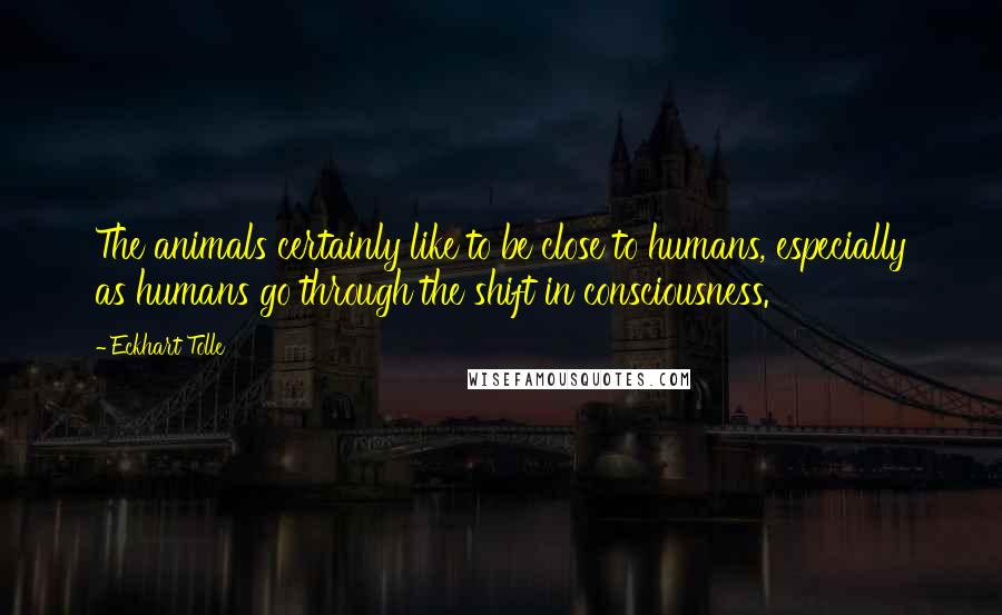 Eckhart Tolle Quotes: The animals certainly like to be close to humans, especially as humans go through the shift in consciousness.