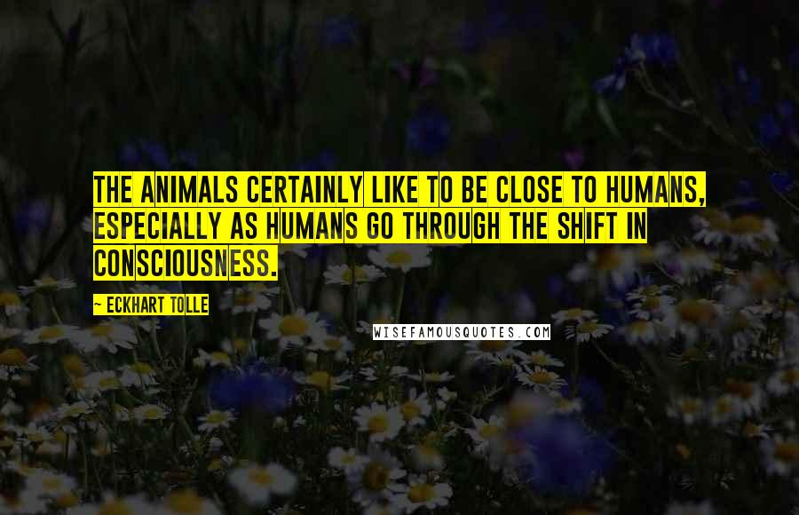 Eckhart Tolle Quotes: The animals certainly like to be close to humans, especially as humans go through the shift in consciousness.