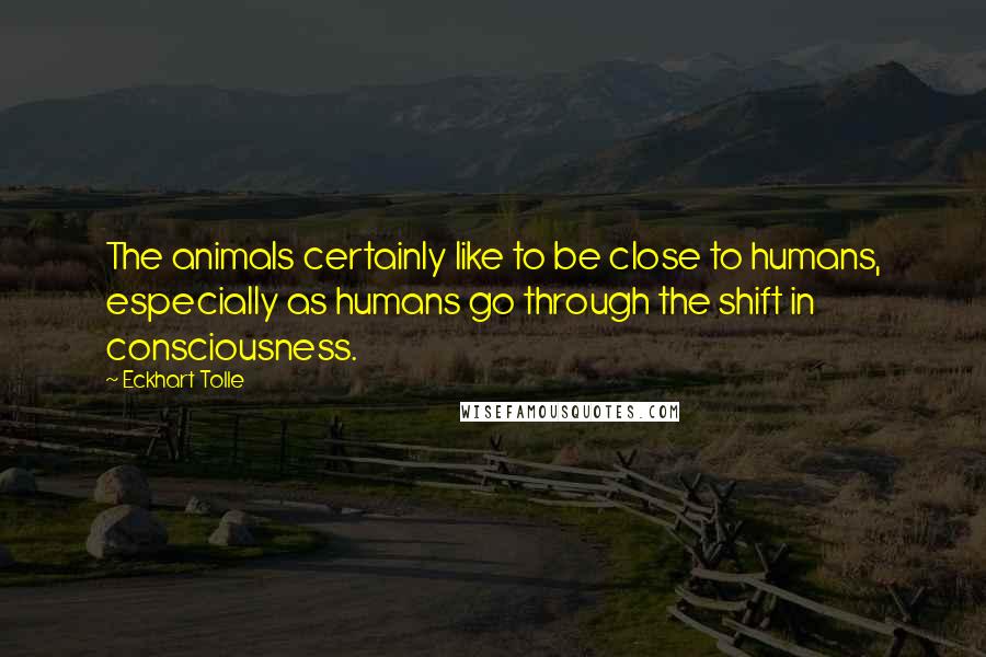 Eckhart Tolle Quotes: The animals certainly like to be close to humans, especially as humans go through the shift in consciousness.