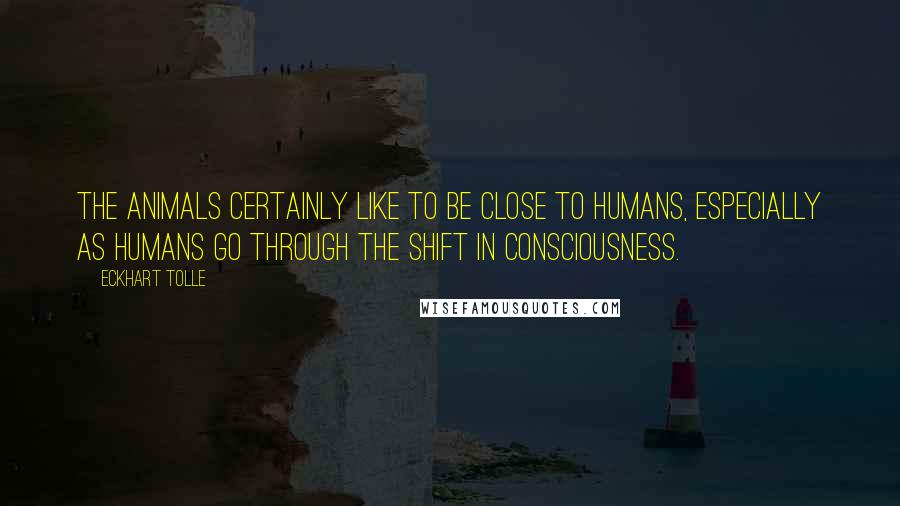 Eckhart Tolle Quotes: The animals certainly like to be close to humans, especially as humans go through the shift in consciousness.