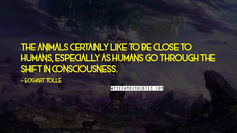 Eckhart Tolle Quotes: The animals certainly like to be close to humans, especially as humans go through the shift in consciousness.