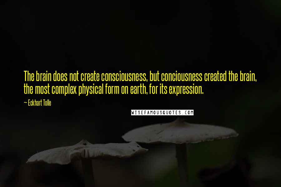 Eckhart Tolle Quotes: The brain does not create consciousness, but conciousness created the brain, the most complex physical form on earth, for its expression.