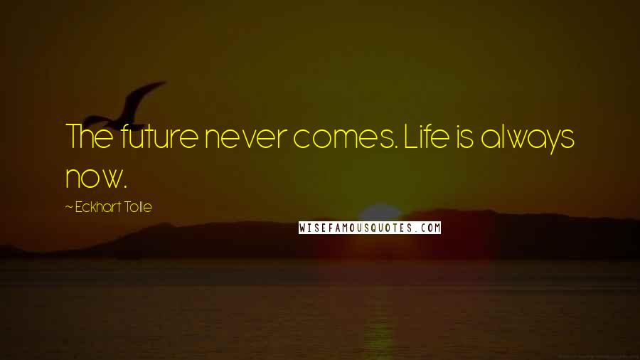 Eckhart Tolle Quotes: The future never comes. Life is always now.