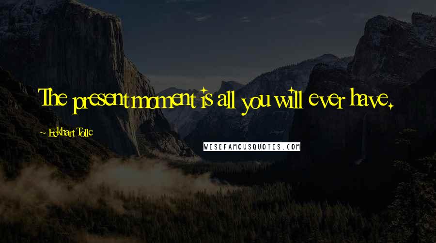 Eckhart Tolle Quotes: The present moment is all you will ever have.