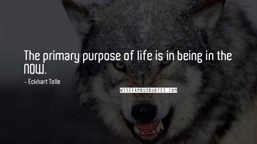 Eckhart Tolle Quotes: The primary purpose of life is in being in the NOW.