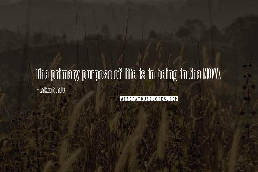 Eckhart Tolle Quotes: The primary purpose of life is in being in the NOW.