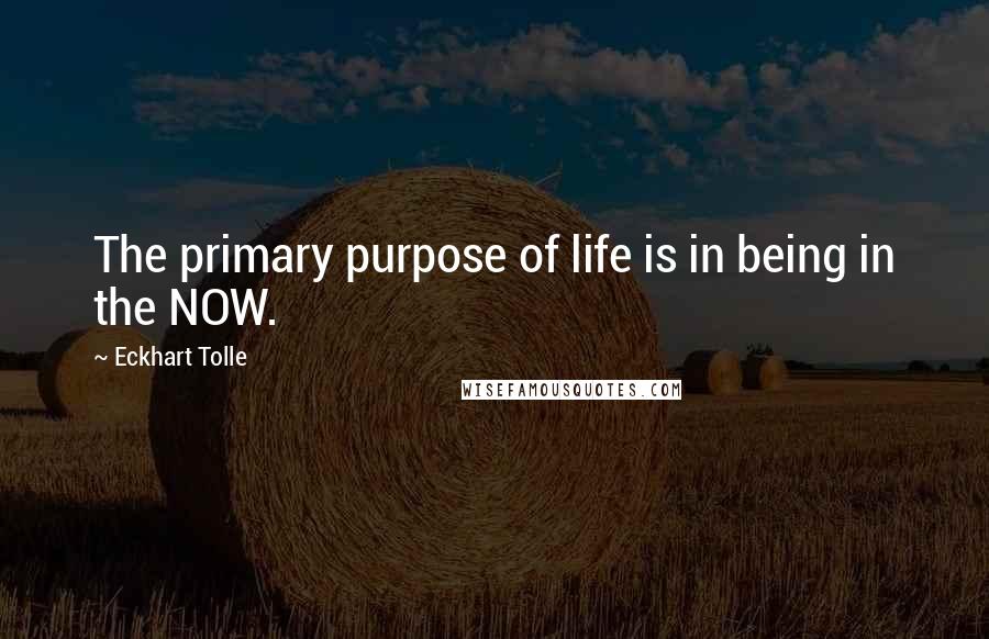 Eckhart Tolle Quotes: The primary purpose of life is in being in the NOW.