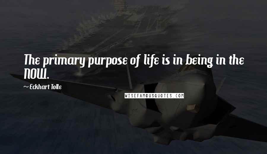 Eckhart Tolle Quotes: The primary purpose of life is in being in the NOW.