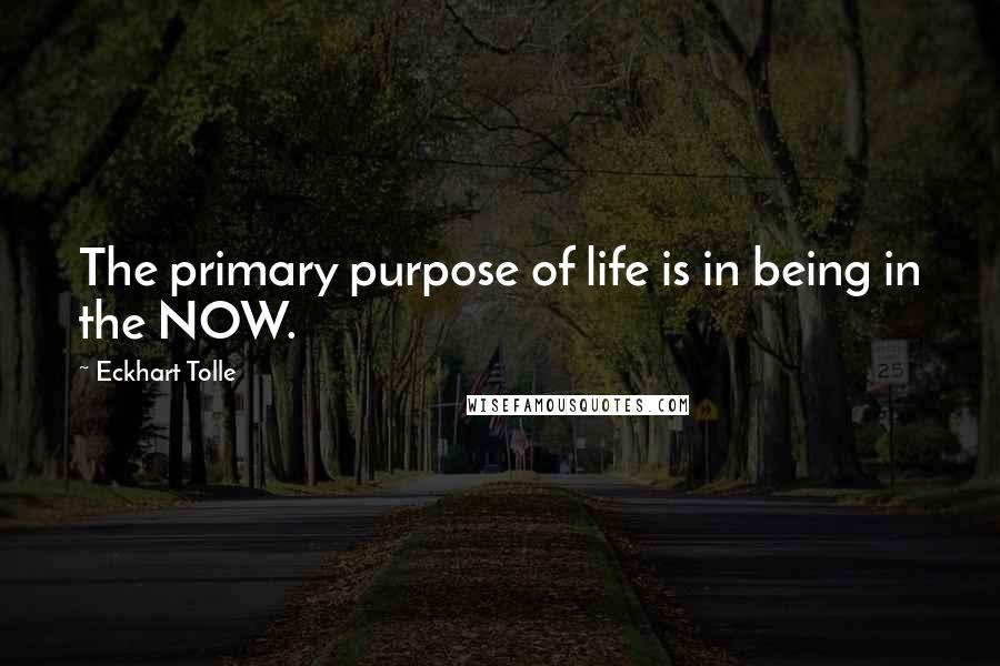 Eckhart Tolle Quotes: The primary purpose of life is in being in the NOW.