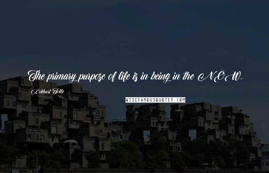 Eckhart Tolle Quotes: The primary purpose of life is in being in the NOW.