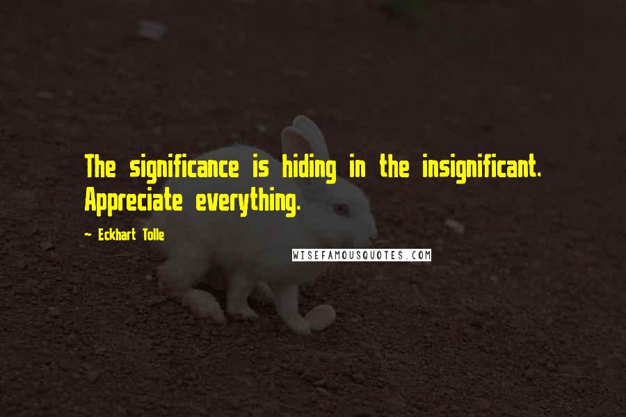 Eckhart Tolle Quotes: The significance is hiding in the insignificant. Appreciate everything.