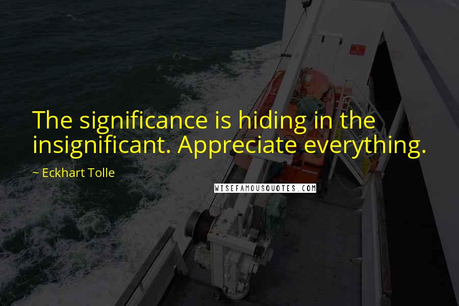 Eckhart Tolle Quotes: The significance is hiding in the insignificant. Appreciate everything.