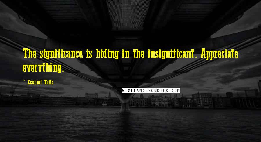 Eckhart Tolle Quotes: The significance is hiding in the insignificant. Appreciate everything.