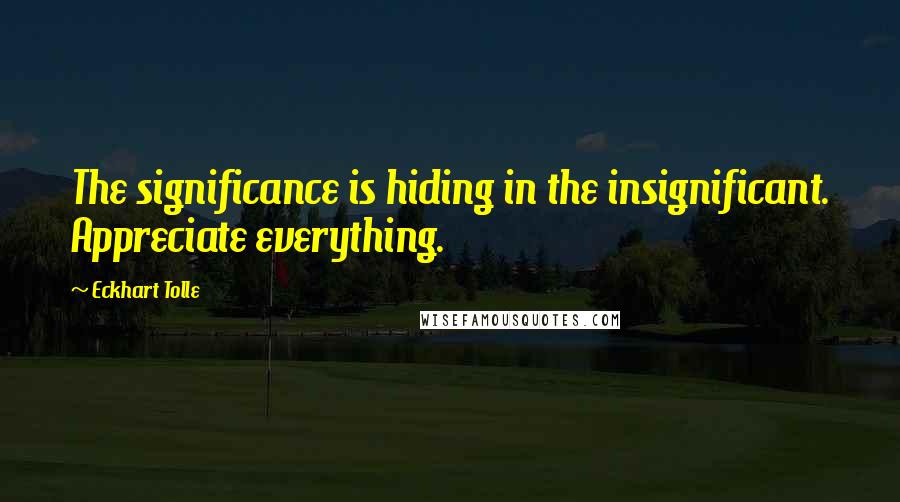 Eckhart Tolle Quotes: The significance is hiding in the insignificant. Appreciate everything.