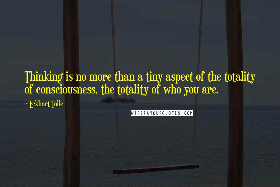 Eckhart Tolle Quotes: Thinking is no more than a tiny aspect of the totality of consciousness, the totality of who you are.