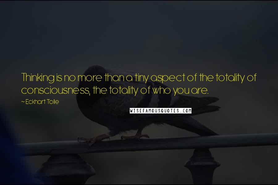 Eckhart Tolle Quotes: Thinking is no more than a tiny aspect of the totality of consciousness, the totality of who you are.