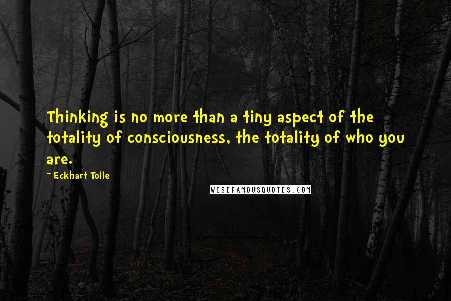 Eckhart Tolle Quotes: Thinking is no more than a tiny aspect of the totality of consciousness, the totality of who you are.