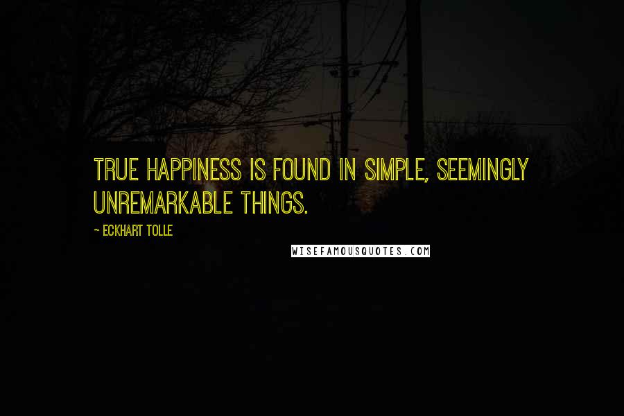 Eckhart Tolle Quotes: True happiness is found in simple, seemingly unremarkable things.