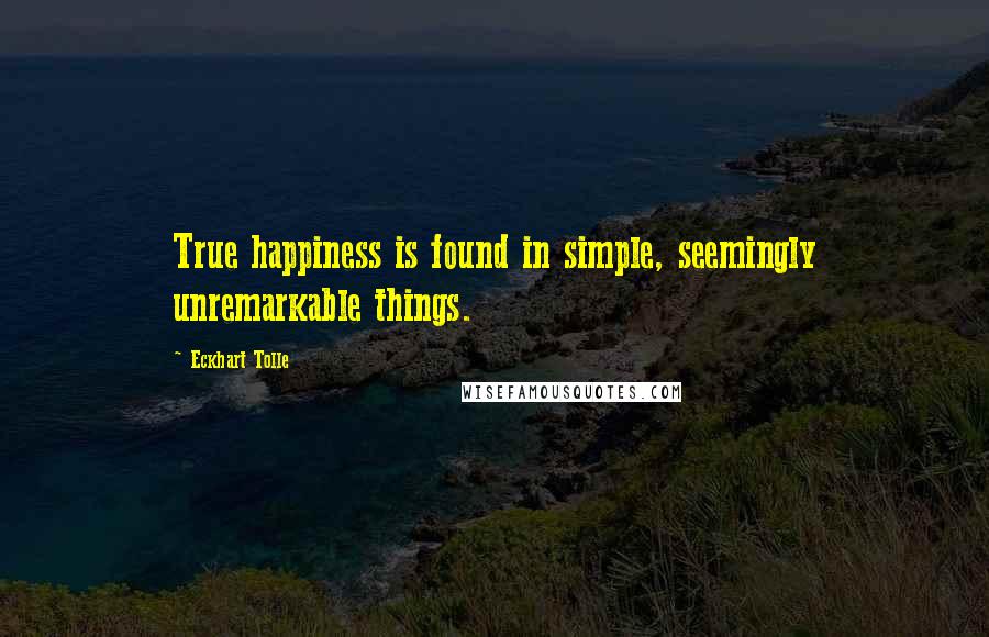 Eckhart Tolle Quotes: True happiness is found in simple, seemingly unremarkable things.