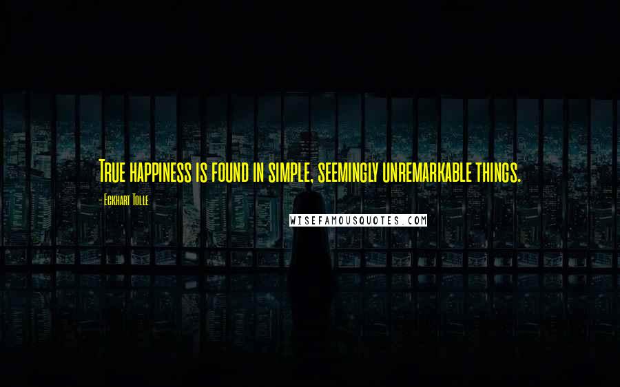 Eckhart Tolle Quotes: True happiness is found in simple, seemingly unremarkable things.