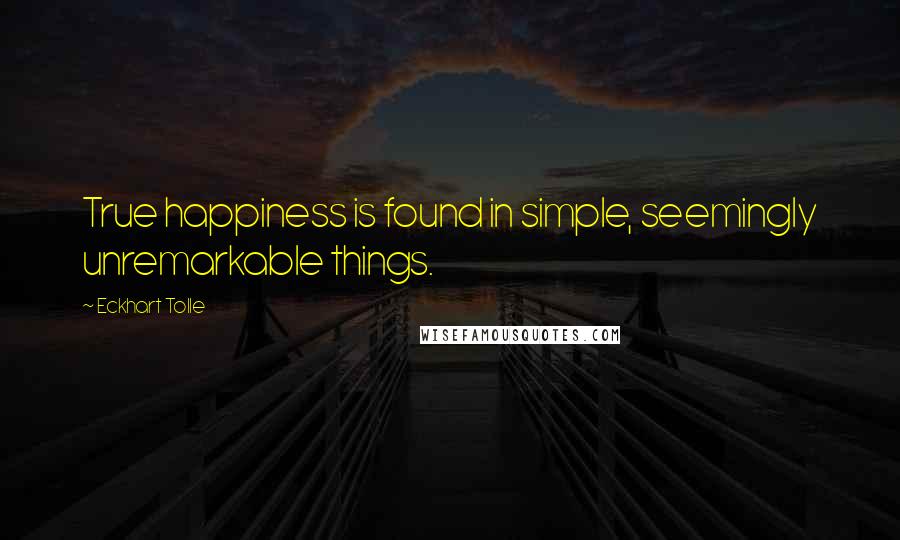 Eckhart Tolle Quotes: True happiness is found in simple, seemingly unremarkable things.