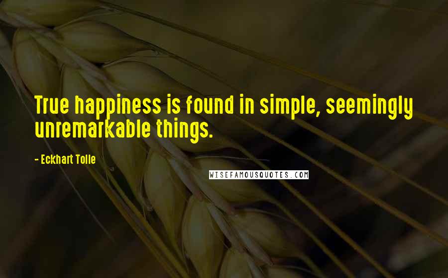 Eckhart Tolle Quotes: True happiness is found in simple, seemingly unremarkable things.