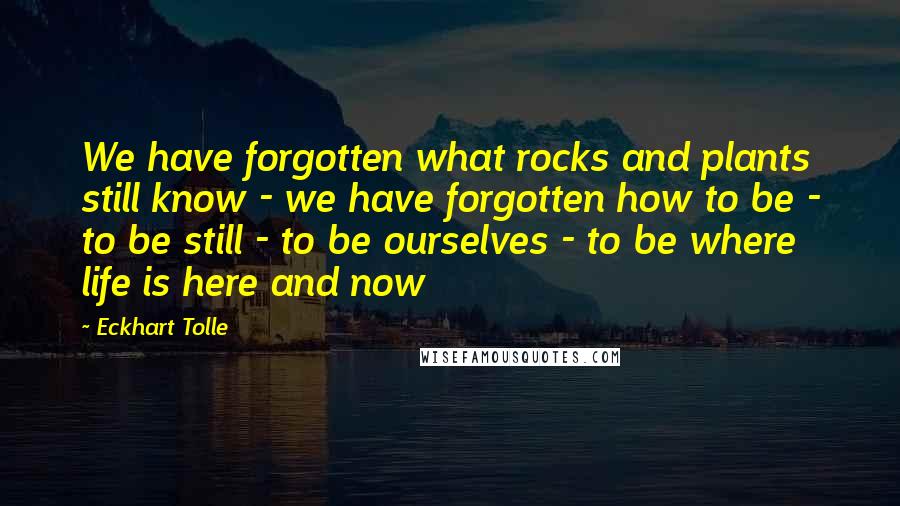 Eckhart Tolle Quotes: We have forgotten what rocks and plants still know - we have forgotten how to be - to be still - to be ourselves - to be where life is here and now