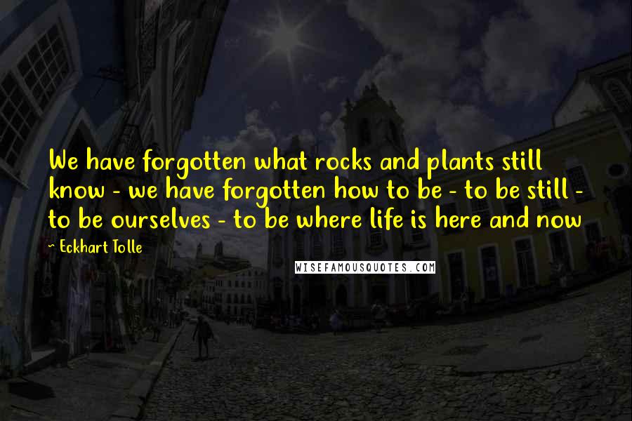 Eckhart Tolle Quotes: We have forgotten what rocks and plants still know - we have forgotten how to be - to be still - to be ourselves - to be where life is here and now